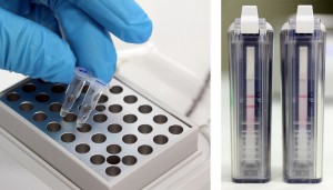 Photo 1 A gauche : bloc chauffant pour l’amplification d’ADN. A droite : lecture sur bandelettes (gauche : test positif révélant la présence de la bactérie, droite : test négatif). 